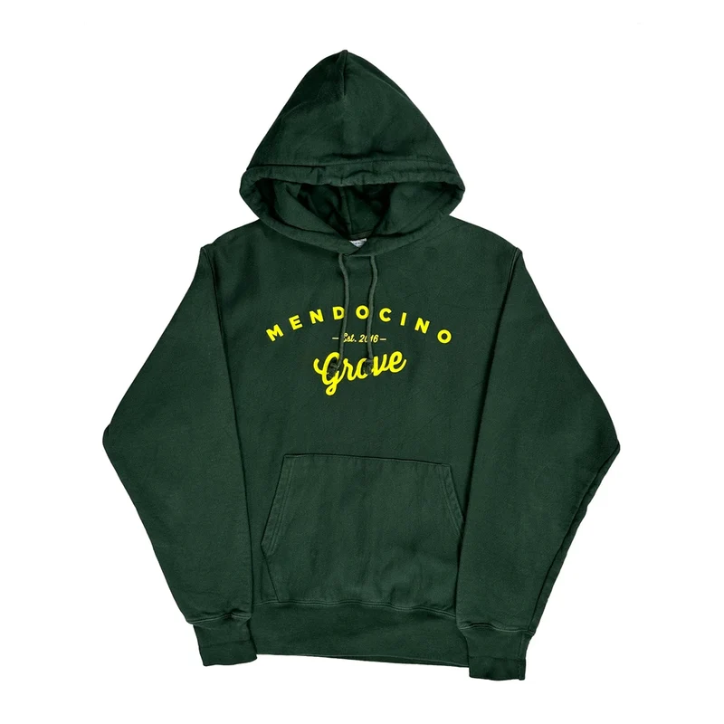 Reverse Weave Champion Graphic Hoodie - Medium Green Cotton
