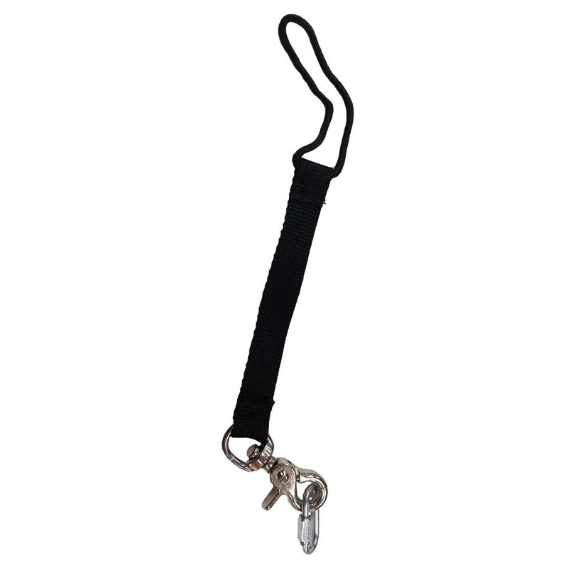 Ollie's Backside Cheat Leash