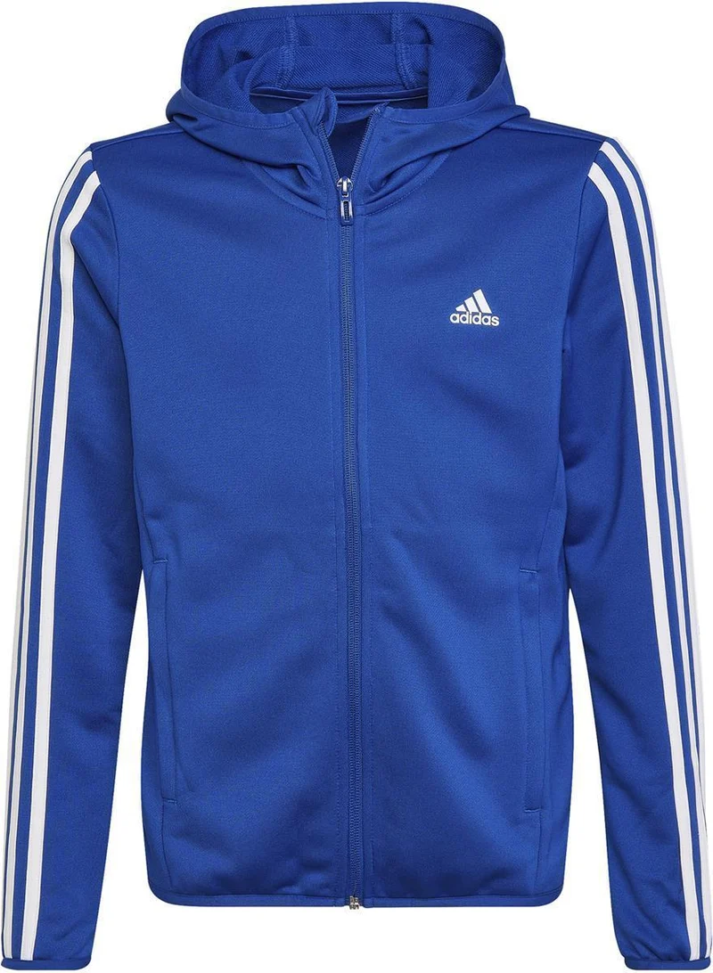 B 3s Fz Hd