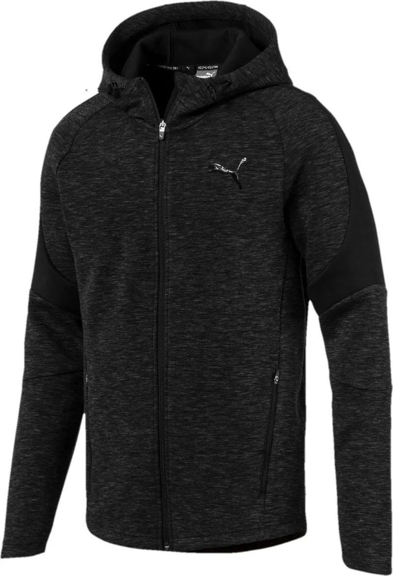 evostripe fz hoody