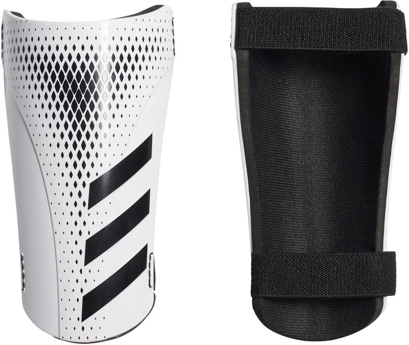 pred sg trn